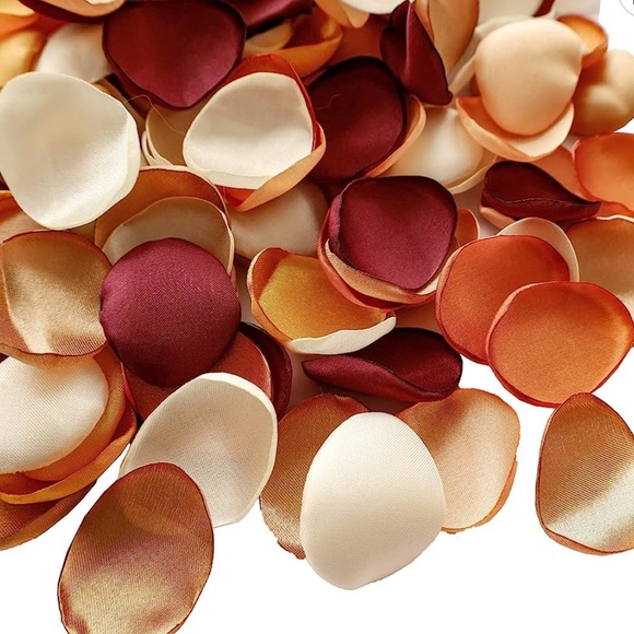 💛Lookein 300pcs Wedding Terracotta Satin Flower Petals for Flower Girl Basket - Picture 3 of 6